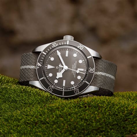 tudor taupe|tudor black bay 58 bezel.